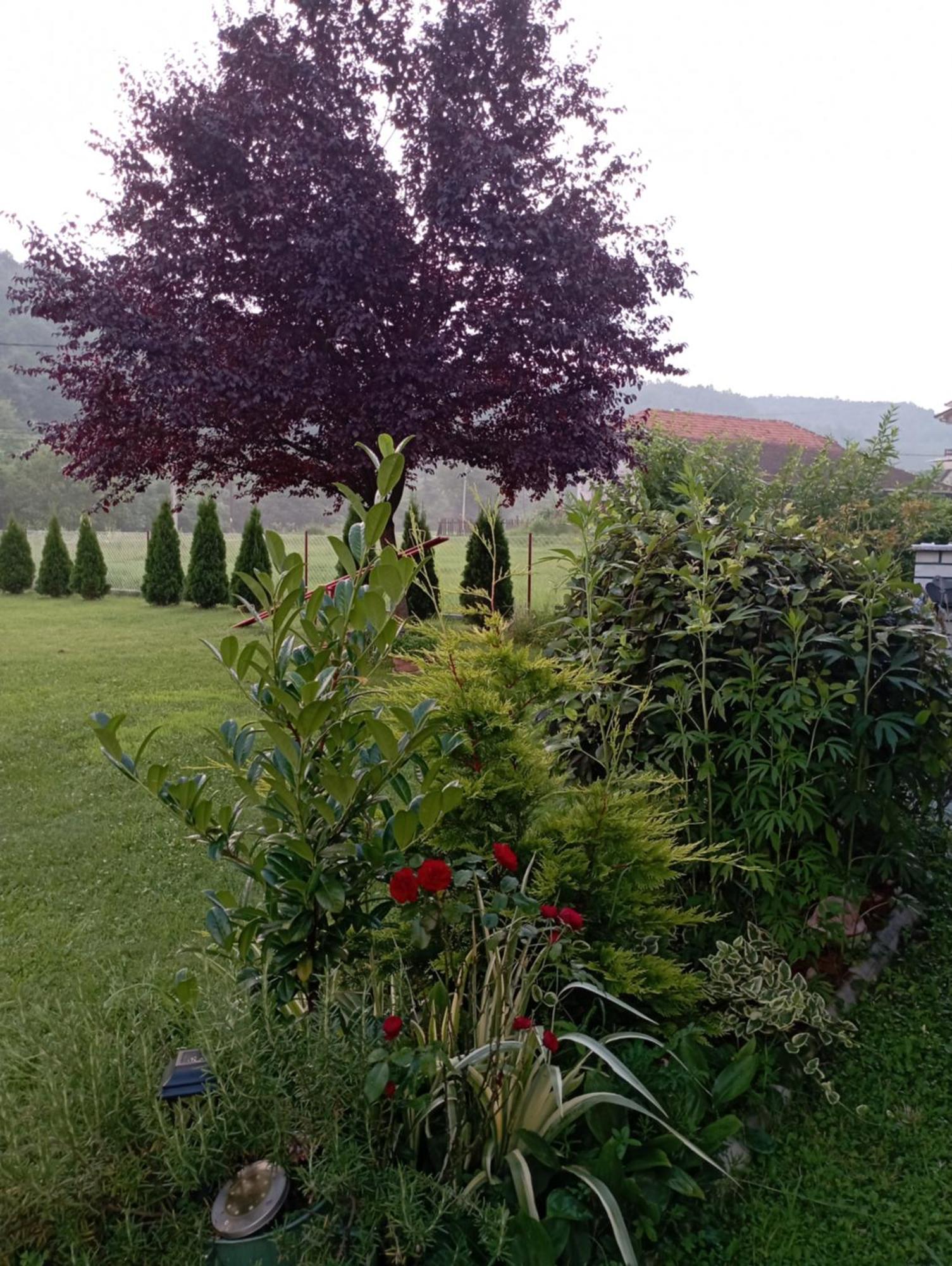 Kuca Za Odmor Zicanka Kraljevo Exterior photo