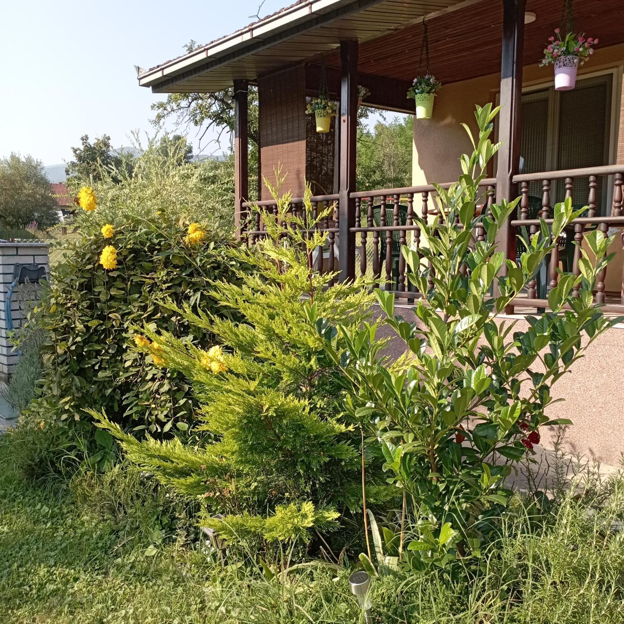 Kuca Za Odmor Zicanka Kraljevo Exterior photo